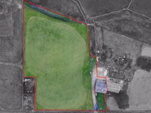 Photo 43- click for photo gallery